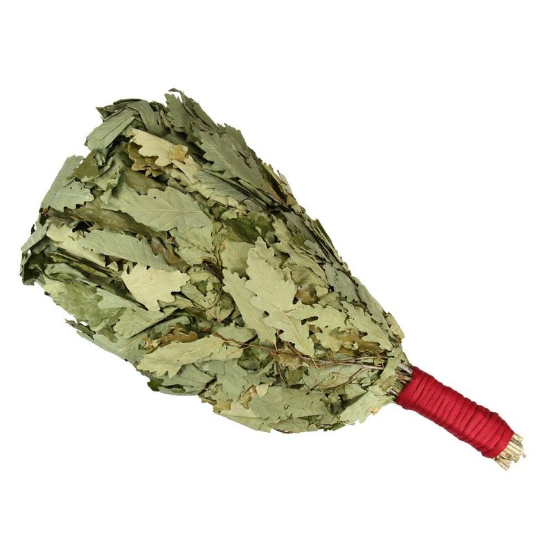 Chacapa bladrangle eikeblader CHA-02