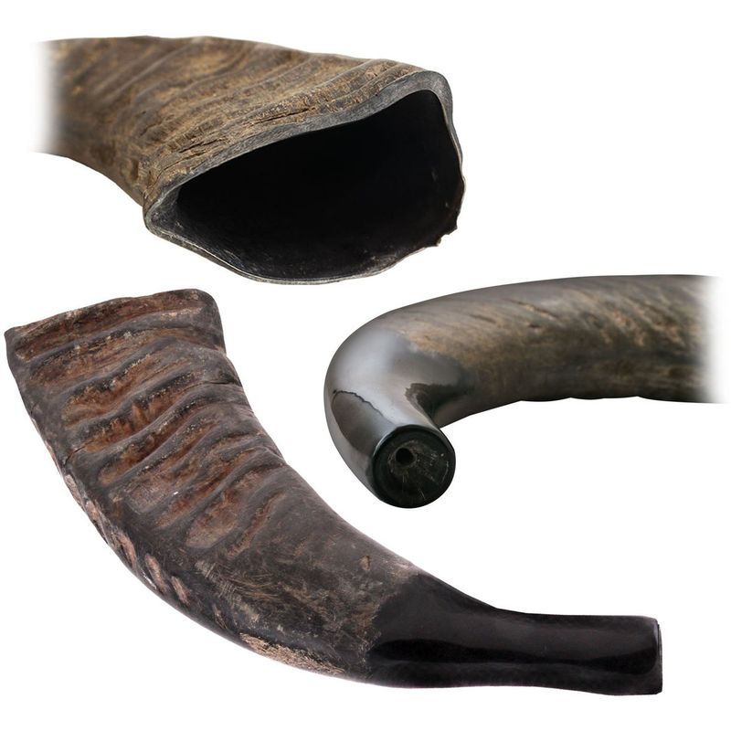 Bøffelhorn Tuwa 43cm