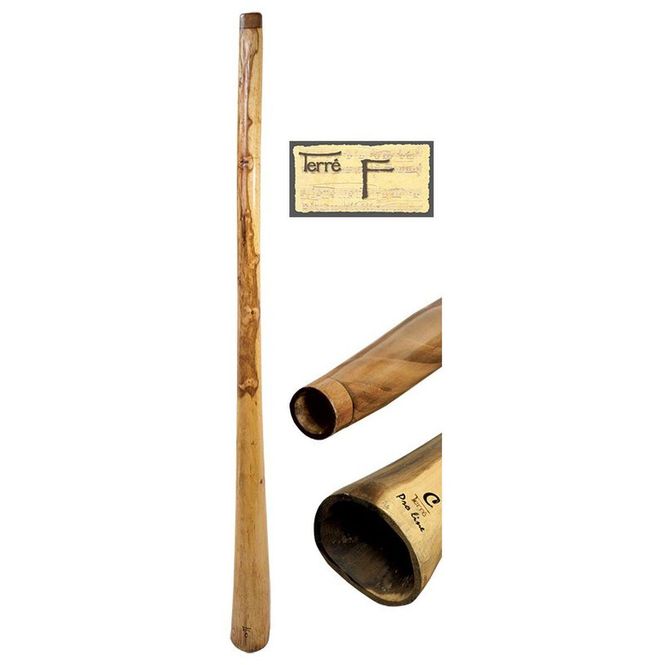 Hovedbilde Didgeridoo Proline eukalyptus F