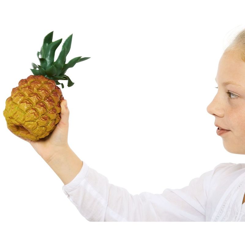 Meinl NINO595 Ananas-shaker