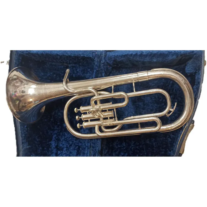 Hovedbilde Brukt Amati Ambassador Althorn