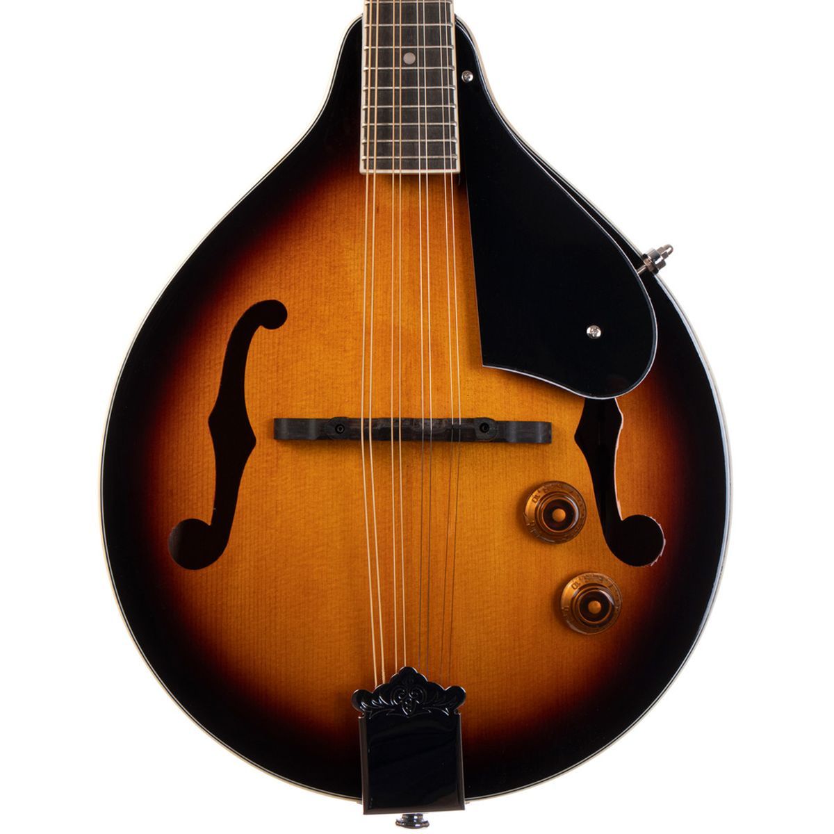 Morgan M 20 E VS Mandolin med pickup