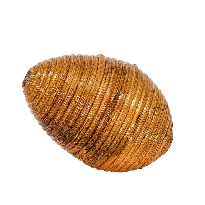 Rytmeegg av rotting 6 cm