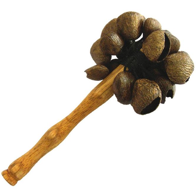 Hovedbilde Rangle med Pangi-frø